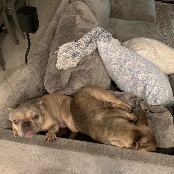 Allergy Alert - Smoke free, pet friendly home! - Picture 14 of 16